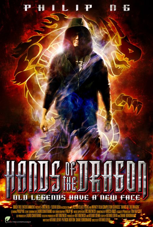 the movie poster: Hands of the Dragon (2007)