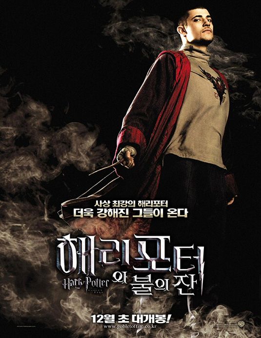 the movie poster: Harry Potter and the Goblet of Fire (2005) ver25