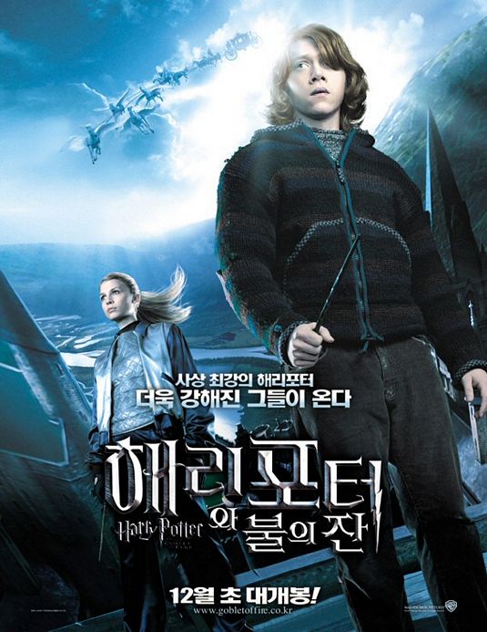 the movie poster: Harry Potter and the Goblet of Fire (2005) ver27