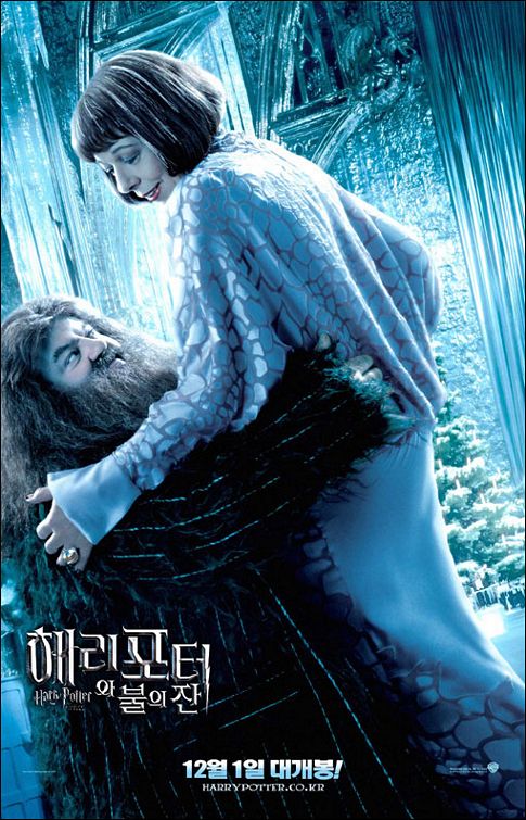 the movie poster: Harry Potter and the Goblet of Fire (2005) ver31