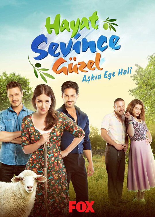 1000 piece jigsaw puzzle for tv poster: Hayat Sevince Guzel