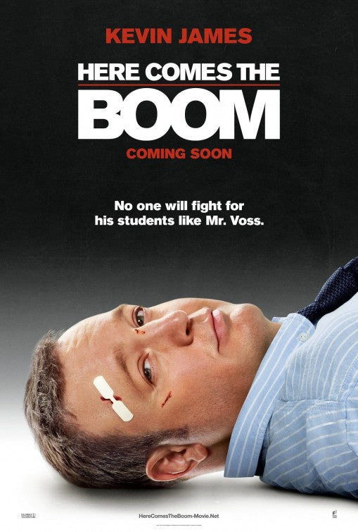 1000 piece jigsaw puzzle for the movie poster: Here Comes the Boom (2012)