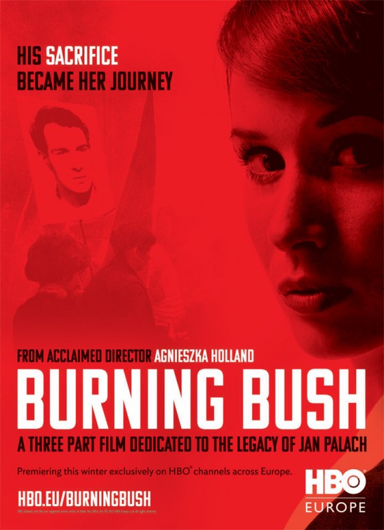 1000 piece jigsaw puzzle for tv poster: Burning Bush