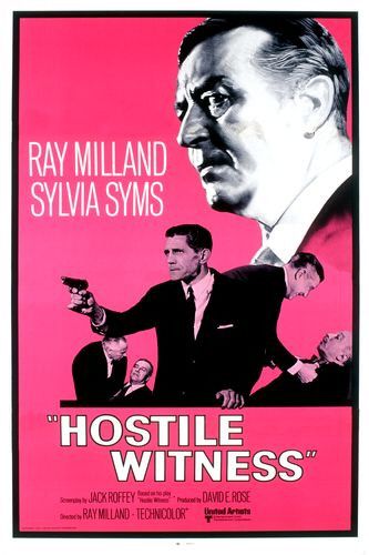 the movie poster: Hostile Witness (1968)