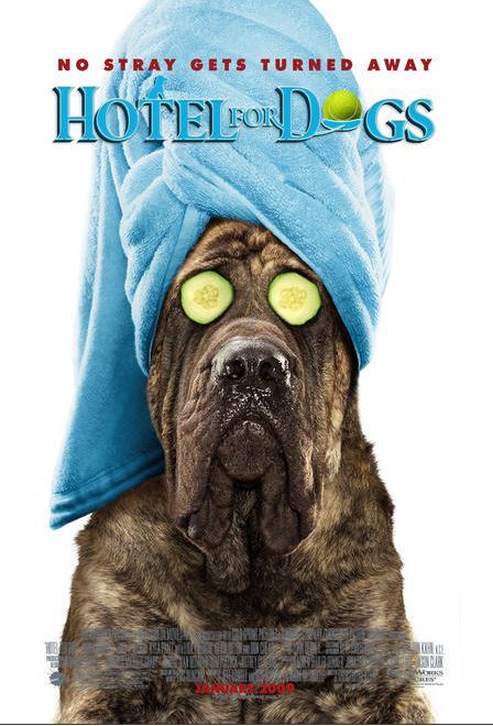 the movie poster: Hotel for Dogs (2009) ver6