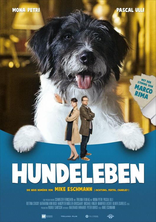 1000 piece jigsaw puzzle for tv poster: Hundeleben