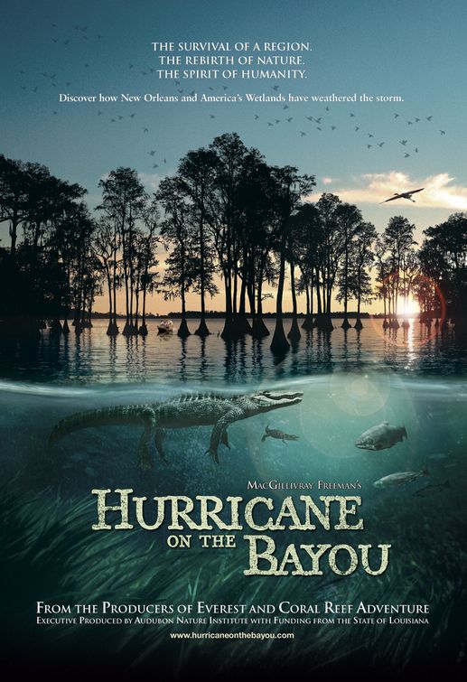 the movie poster: Hurricane on the Bayou (2006)