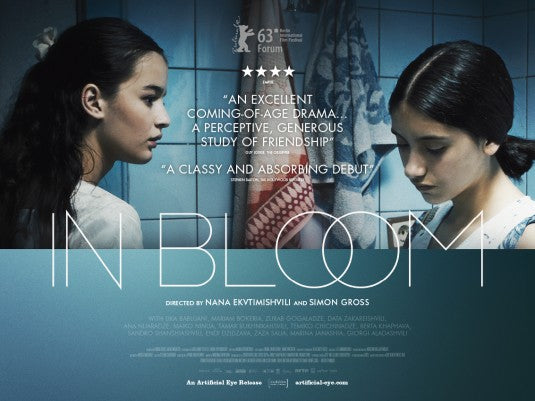 1000 piece jigsaw puzzle for the movie poster: In Bloom (2014)
