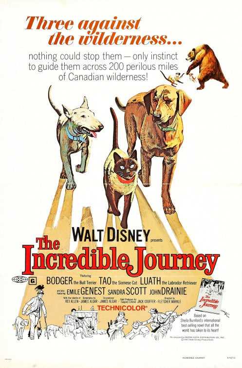 the movie poster: The Incredible Journey (1963)