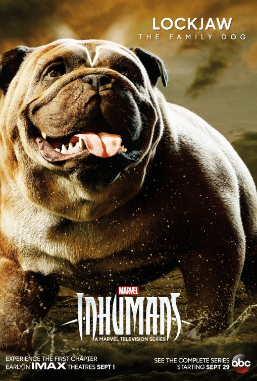 1000 piece jigsaw puzzle for tv poster: Inhumans, ver14