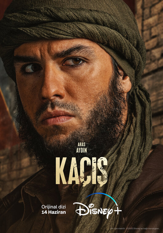 1000 piece jigsaw puzzle for tv poster: Ka?is, ver10