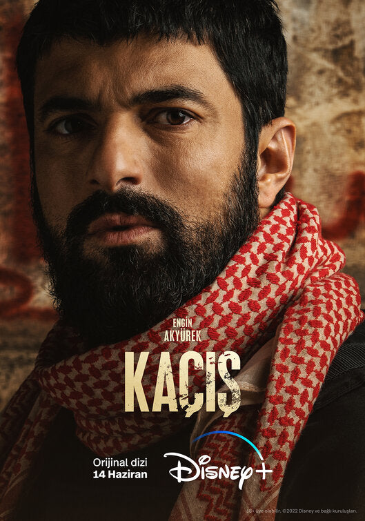 1000 piece jigsaw puzzle for tv poster: Ka?is, ver6