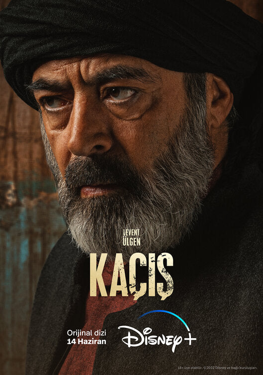 1000 piece jigsaw puzzle for tv poster: Ka?is, ver9