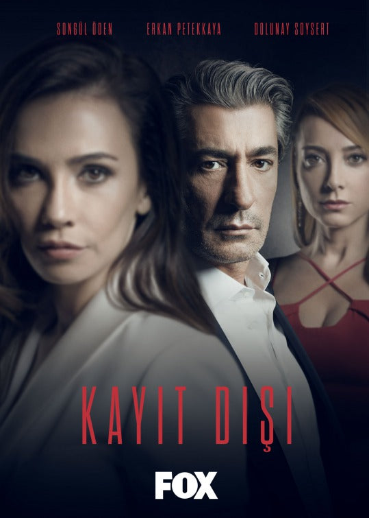 1000 piece jigsaw puzzle for tv poster: Kayitdisi