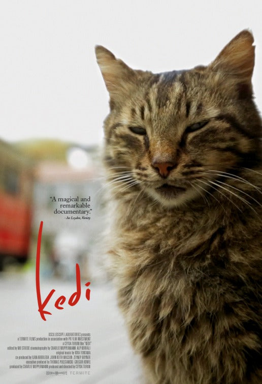 1000 piece jigsaw puzzle for the movie poster: Kedi (2017)