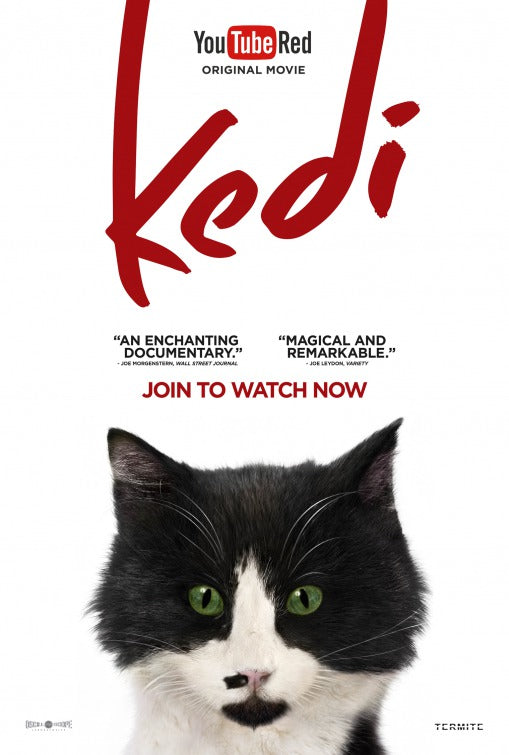 1000 piece jigsaw puzzle for the movie poster: Kedi (2017) ver3