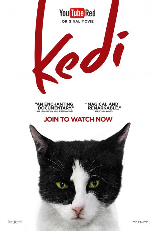 1000 piece jigsaw puzzle for the movie poster: Kedi (2017) ver7