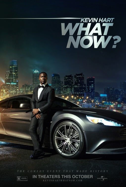 1000 piece jigsaw puzzle for the movie poster: Kevin Hart: What Now? (2016) ver3