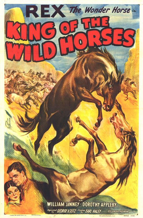 the movie poster: The King of the Wild Horses (1924)