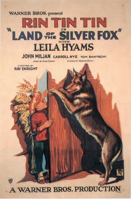 the movie poster: Land of the Silver Fox (1928)