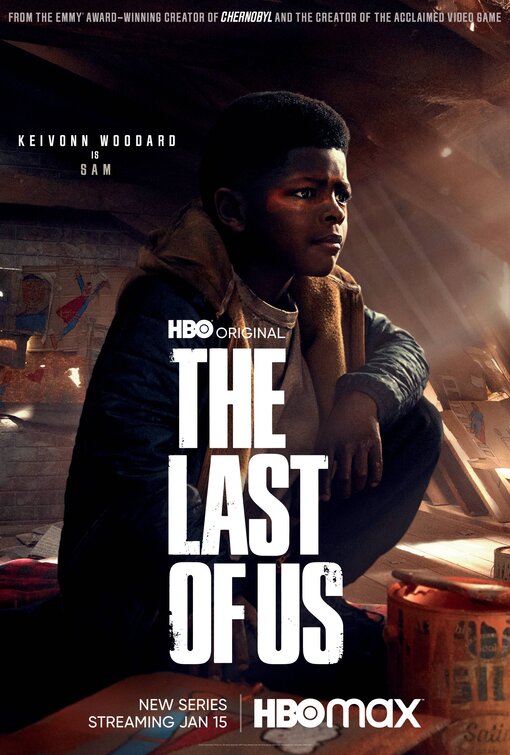 1000 piece jigsaw puzzle for tv poster: The Last of Us, ver5