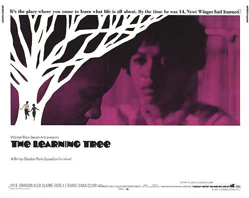 the movie poster: The Learning Tree (1969) ver2