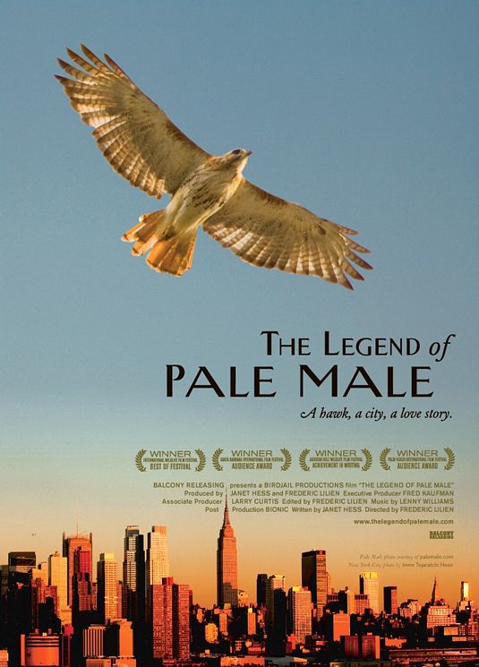1000 piece jigsaw puzzle for the movie poster: The Legend of Pale Male (2010)