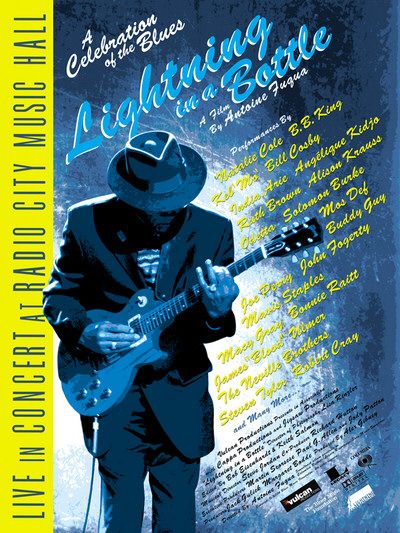 the movie poster: Lightning In a Bottle (2004) ver3