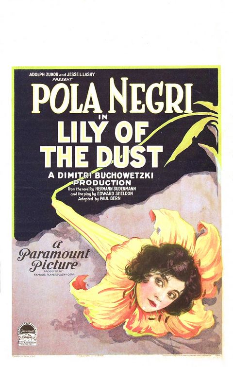 the movie poster: Lily of the Dust (1924)
