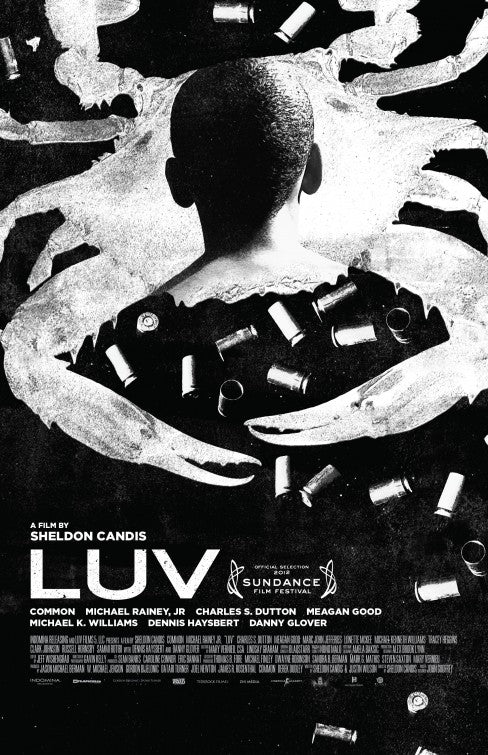 1000 piece jigsaw puzzle for the movie poster: LUV (2013) ver3