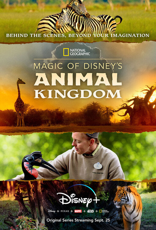 1000 piece jigsaw puzzle for tv poster: Magic of Disney's Animal Kingdom