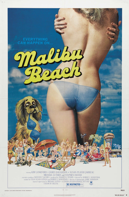 the movie poster: Malibu Beach (1978)