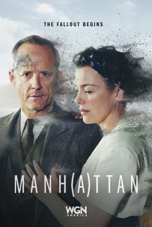 1000 piece jigsaw puzzle for tv poster: Manhattan, ver11
