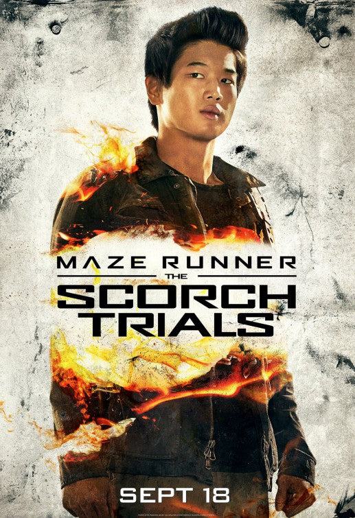 1000 piece jigsaw puzzle for the movie poster: Maze Runner: The Scorch Trials (2015) ver5