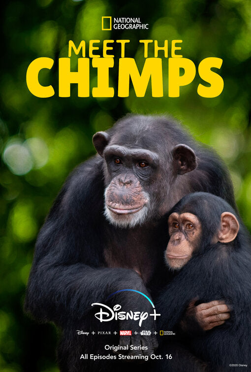 1000 piece jigsaw puzzle for tv poster: Meet the Chimps