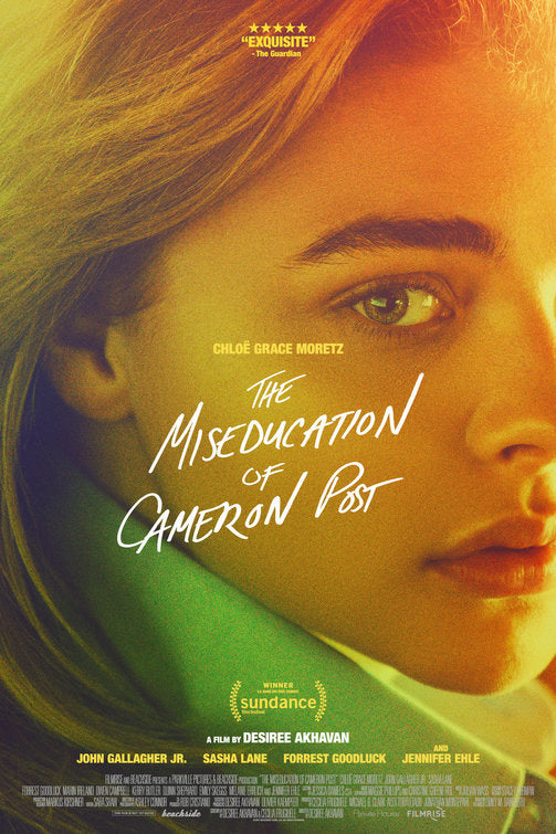 1000 piece jigsaw puzzle for the movie poster: The Miseducation of Cameron Post (2018) ver2