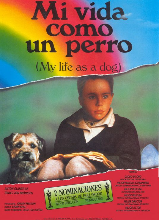 the movie poster: My Life as a Dog (1987)