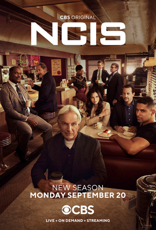 1000 piece jigsaw puzzle for tv poster: NCIS