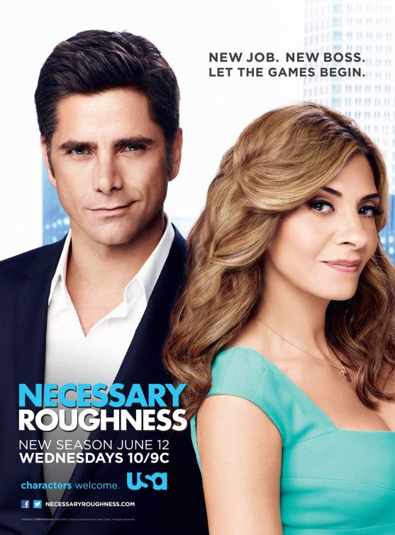 1000 piece jigsaw puzzle for tv poster: Necessary Roughness, ver3