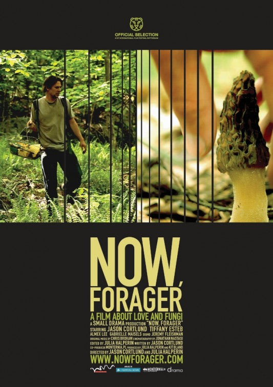 1000 piece jigsaw puzzle for the movie poster: Now, Forager (2012)