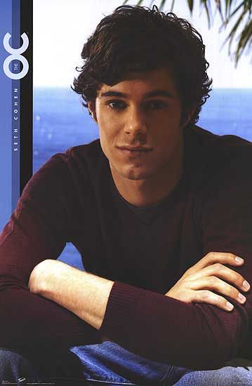 1000 piece jigsaw puzzle for tv poster: The OC, ver7