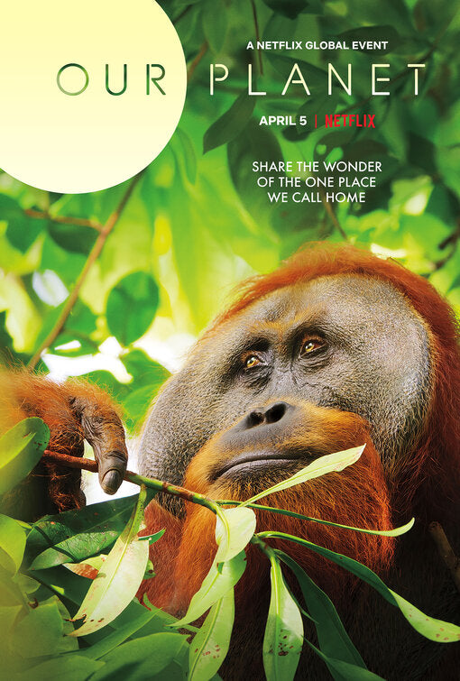 1000 piece jigsaw puzzle for tv poster: Our Planet, ver2