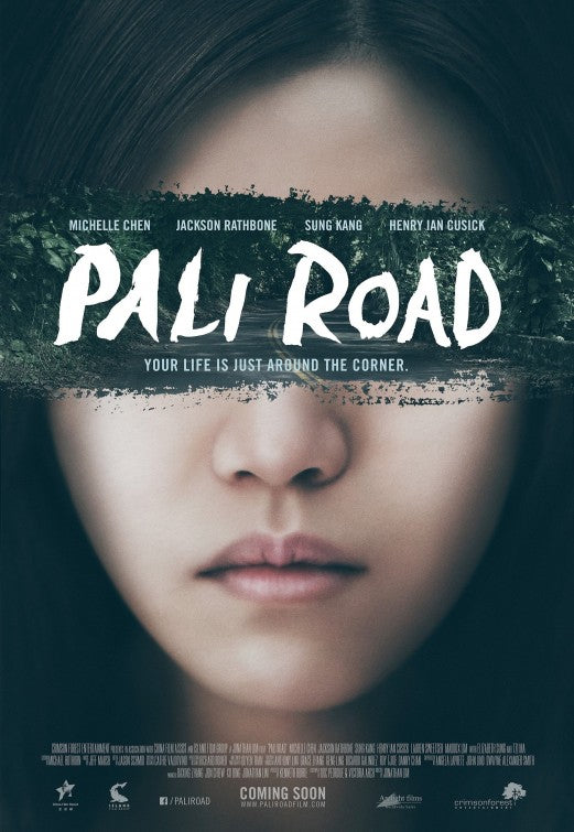 1000 piece jigsaw puzzle for the movie poster: Pali Road (2015)