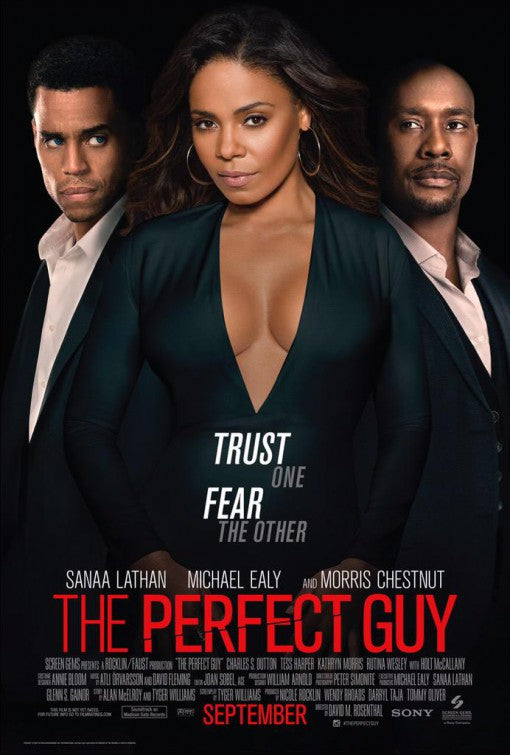 1000 piece jigsaw puzzle for the movie poster: The Perfect Guy (2015) ver3