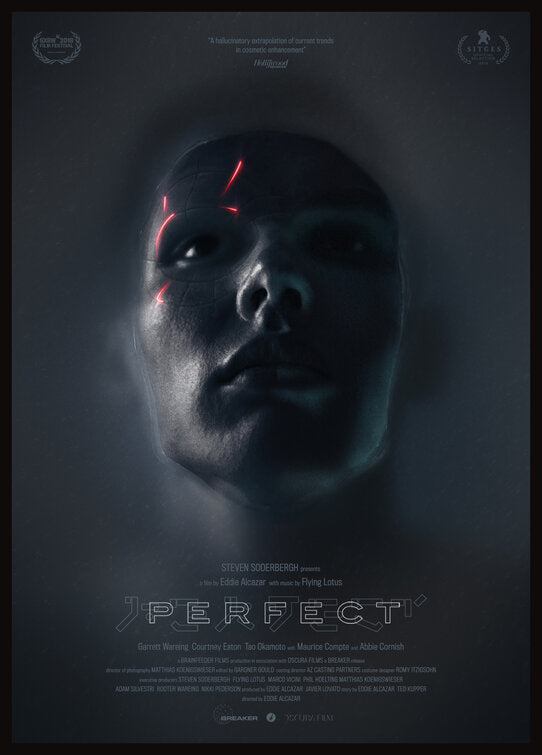 1000 piece jigsaw puzzle for the movie poster: Perfect (2019) ver2
