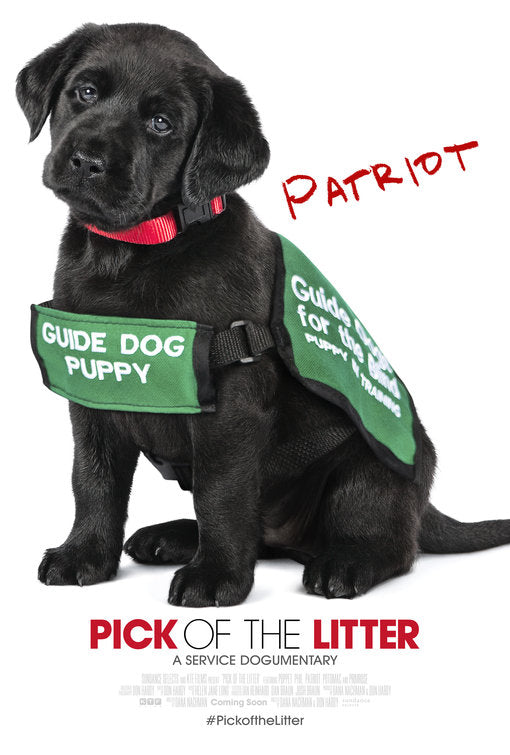 1000 piece jigsaw puzzle for the movie poster: Pick of the Litter (2018) ver3