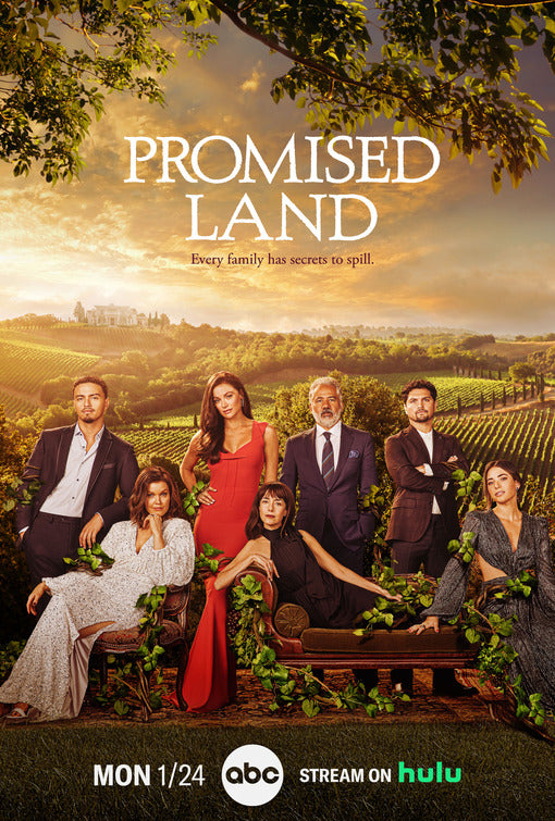 1000 piece jigsaw puzzle for tv poster: Promised Land, ver3