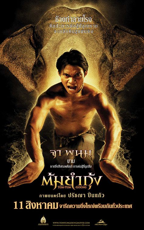 the movie poster: The Protector (2006) ver5