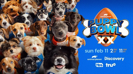 1000 piece jigsaw puzzle for tv poster: Puppy Bowl