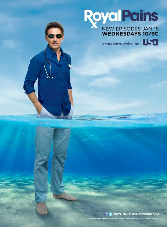 1000 piece jigsaw puzzle for tv poster: Royal Pains, ver6